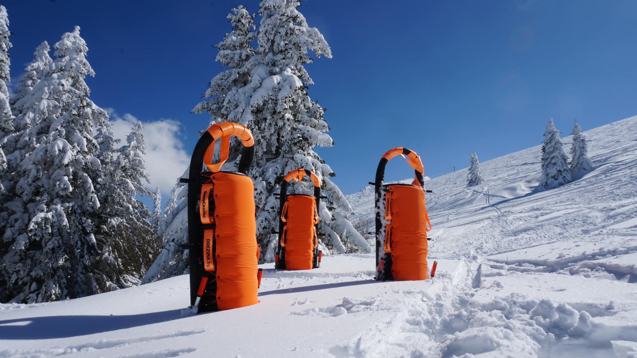 SnowCoaster in snowy mountain scene